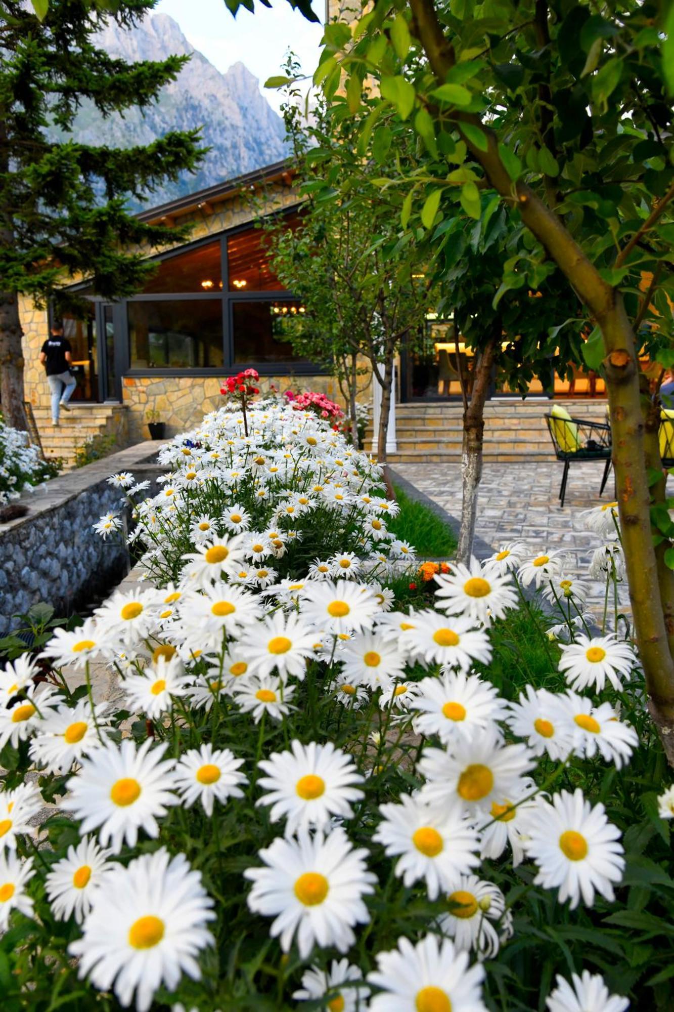 Breezy Hotel Вальбоне Екстер'єр фото